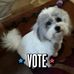 Susan Vogt - Facebook