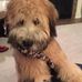 Susan Vogt - Facebook