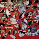 Susan Vogt - @susan.vogt.9 - Instagram