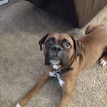 Susan - @susanwagers2021 - Instagram