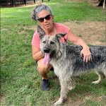 Susan Wagers - @stampgayle - Instagram
