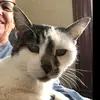 Susan Wagers Farzalo - @susanwagersfarzalo0 - TikTok