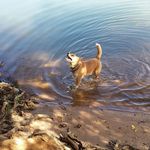 Susan Wagoner - @sewagoner - Instagram