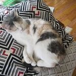 Susan Wagoner - @susan.wagoner1 - Instagram