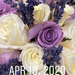 Susan Wagoner - @masuwagoner - Instagram