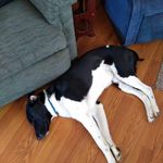 susan Wagoner - @wagonersusan244 - Instagram