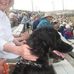 Sue Walby - Facebook