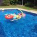 Susan Walcott - Facebook