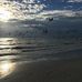 Susan Walcott - Facebook