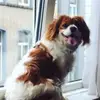 susanwalden1997 - @susanwalden1997 - TikTok
