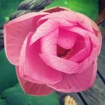 Susan Allen - @susan_w_allen - Instagram