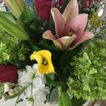 Susan Wallen - @susan.wallen.9 - Instagram
