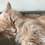 Susan Wallner - @sue_m_wallner - Instagram