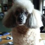 Susan Wallner - @sussi.wallner - Instagram