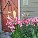 Susan Wallner - @susan_wallner - Instagram