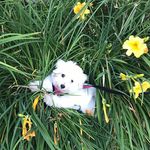 Suzie Que - @susan.walz.568 - Instagram