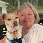Susan Wardle - @swardle726 - Instagram