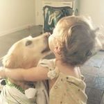Susan Tittle Wargo - @stwargo - Instagram