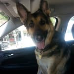 Susan Warnick-Michelotti - @warnickmichelotti - Instagram