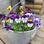 Susan Warnicke - @susanwarnicke - Instagram
