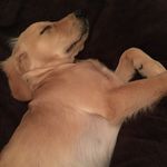 Susan Warnock Burke - @suzzieq627 - Instagram