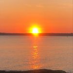 Susan Warwick - @swarw49 - Instagram