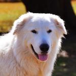 Susan Warwick - @susanwrwk - Instagram