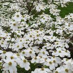 susan Wasmund - @suewaz - Instagram