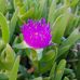 Susan Weeden - Facebook