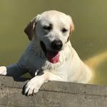 Susan Weick - @susanweick - Instagram