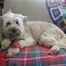 Susan Weil - Facebook