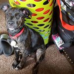 Susan Weil - @susan.weil.735 - Instagram