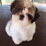 Susan Weil - @weil8008 - Instagram
