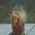 Susan Weil - Facebook