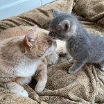 Susan Schwab Weimer - @soopsue - Instagram