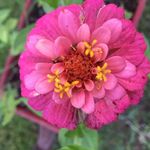 Susan Weimer - @susan1582 - Instagram