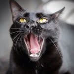 Susan Weingartner - @susanweingartnerphotography - Instagram