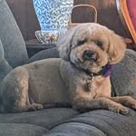 Susan Weingartner - @swein60 - Instagram
