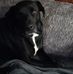 Sue Welcome - Facebook