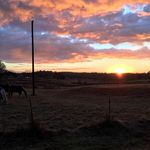 Susan Weldon - @susan.weldon.7 - Instagram
