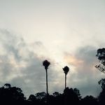 Susan Weldon - @s_weldo - Instagram