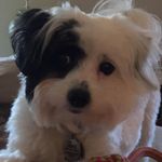 Susan Weldon - @susanweldon719 - Instagram