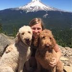 Susan Wenzel - @sjwenzel - Instagram