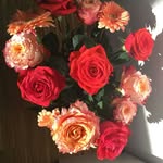 susan werth - @susanwerth - Instagram