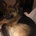 Susan Werth - Facebook