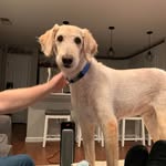 Susan Wertheim - @susanwertheim - Instagram