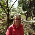 Susan Wesson - @susan.wesson.39 - Instagram