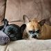 Sue Wester - Facebook