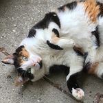 Susan Westerdale - @susanwesterdale - Instagram