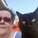 Susan Westerlund - @susanwesterlund - Instagram